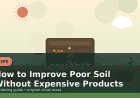 How to Improve Poor Soil Without Expensive Products