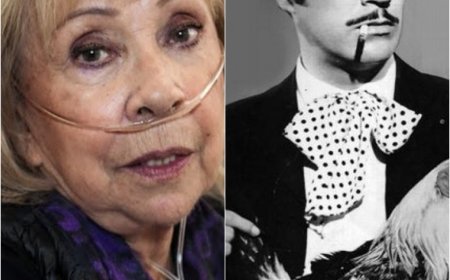 LA CASA DEL ACTOR EN MÉXICO: NADIE IMAGINA LO QUE REALMENTE PASA AHÍ DENTRO
