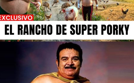 La TERRIBLE TRAGEDIA que VIVIO SUPER PORKY - De Cinco Millones por Pelea a la RUINA 