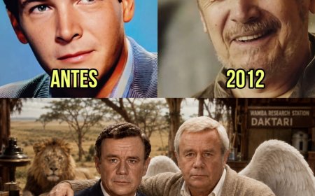 Daktari: Los Secretos Más Oscuros y Trágicos Detrás de la Mítica Serie 59 Años Después