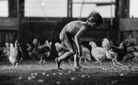 El niño salvaje de Santa Catarina: Doce años de encierro en un gallinero que estremecieron a México