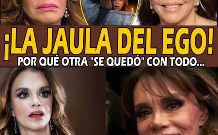Lucía Méndez: El CRUEL Karma... Sola mientras Verónica Castro es feliz 