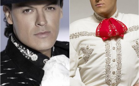 Por Esta Razon Pedro Fernandez se Alejó de Las Telenovelas