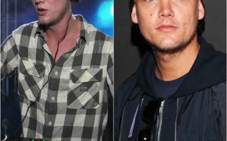 El día que MURIÓ Avicii - La VIDA y MUERTE de DJ AVICII