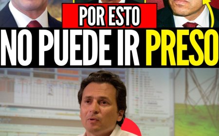 Emilio Lozoya: El Archivo Secreto que lo Volvió Intocable