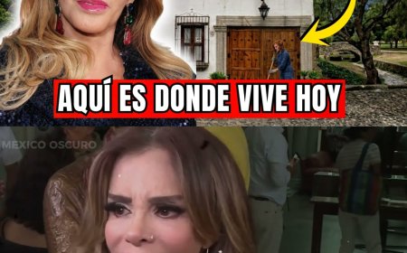 ¿RECUERDAS A LUCÍA MÉNDEZ? REINÓ LAS TELENOVELAS Y LA MÚSICA Y CASI LO PIERDE TODO... ASÍ VIVE HOY