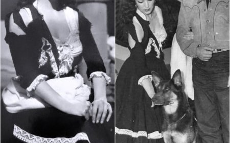 María Félix: They Intervened in Her Tomb… The Dark Secret Her Heirs Were Seeking.