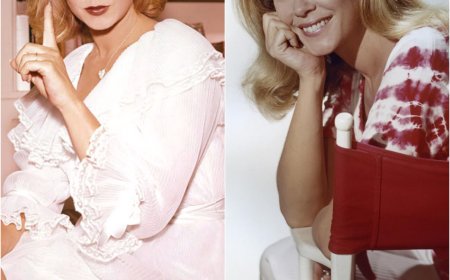 Hechizada (1964): 15 Datos Extraños Que No Sabías