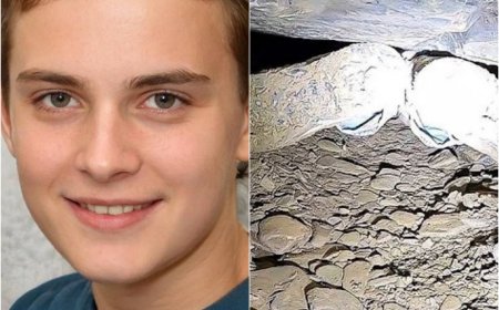 2 Horas de Las Muertes Más TRÁGICAMENTE Estúpidas de Todos Los Tiempos…