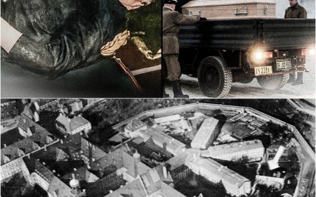 O Que Aconteceu com os Corpos Após as EX3CUÇOES em Nuremberg ?