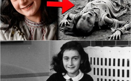 Veja A M0RT3 BRUTAL de ANNE FRANK - Seu SOFRIMENTO nas Mão dos NAZIST4S - 2ª Guerra
