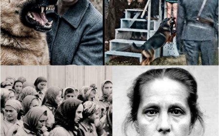 A NAZ1ST4 dos CÃES CHOROU na Forca – mas NINGUÉM teve pena de JOHANNA BORMANN