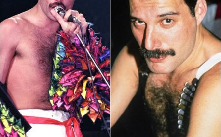 Freddie Mercury SABÍA que se MORÍA. NADIE lo detuvo. Él lo ELIGIÓ así.