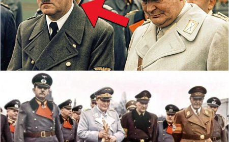 Veja a Reação de HITLER e Göring Quando Heinrici disse que o FIM CHEGOU