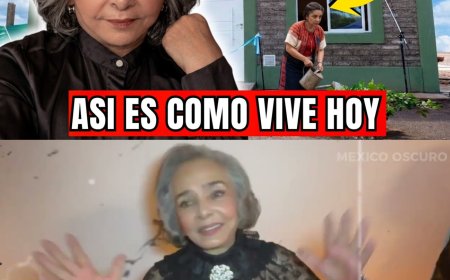 ¿RECUERDAS A ANA MARTÍN? FUE UNA DE LAS PRIMERAS DIVAS DE TV Y CASI LO PIERDE TODO... ASÍ VIVE HOY