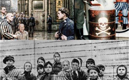Como Funcionavam as Câmaras de Gás Nazistas?