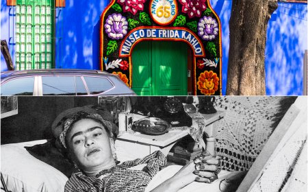 El Misterio de la Mansión de Frida Kahlo, La Casa Azul