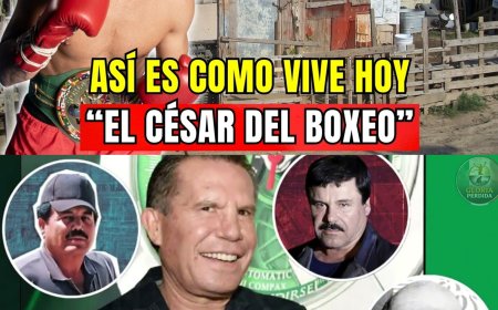¿TE ACUERDAS DE JULIO CÉSAR CHÁVEZ? MIRA CÓMO PERDIÓ TODO Y ASÍ VIVE HOY  â