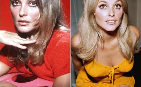 El día que MURIÓ Sharon Tate - Biografía de la actriz y su trágico final